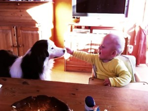 Julius verfüttert seinen Zwieback